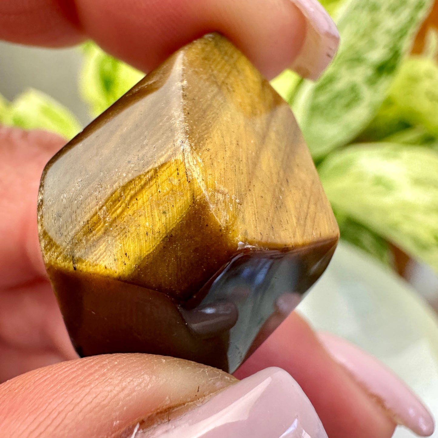 Tigers Eye Gusher