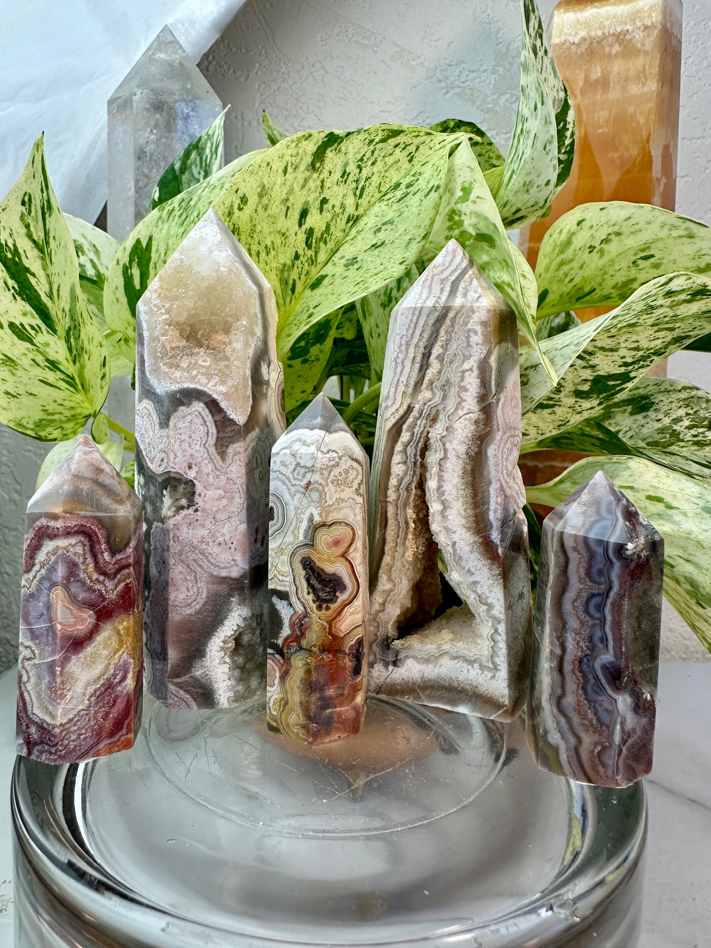 Crazy Lace Agate Points – You Pick
Joy | Focus | Inner Stability