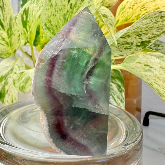Rainbow Fluorite Raw Edge Tower — 3 inch | 6.8 oz
Focus | Clarity | Aura Cleansing