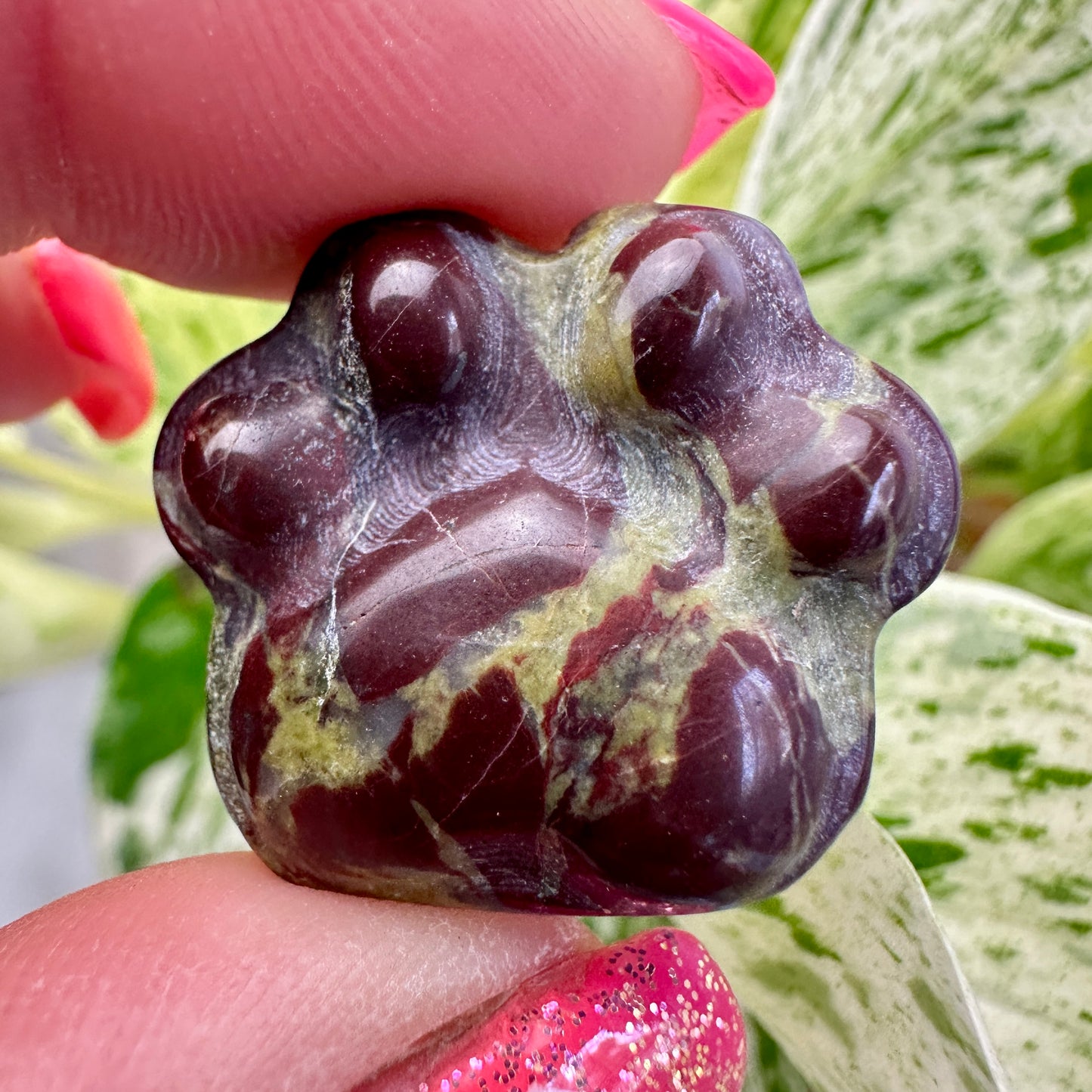 Crystal Pet Paw