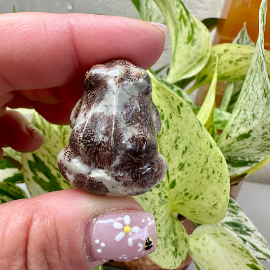 Flower Rhyolite Toad - 1.3 inch - Katie's Mystic Crystals