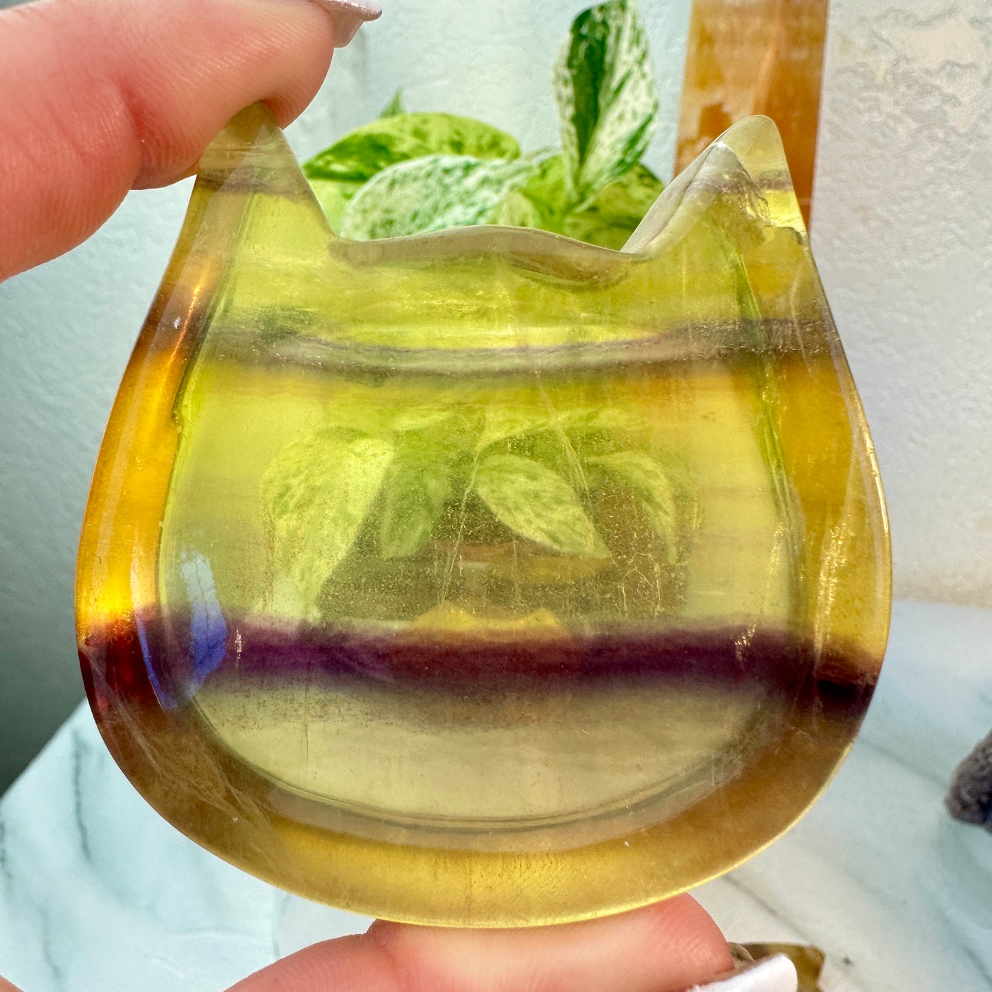Yellow Banded Fluorite Cat Head Dishes — Small | Intuitive Pick
Confidence | Clarity | Solar Joy