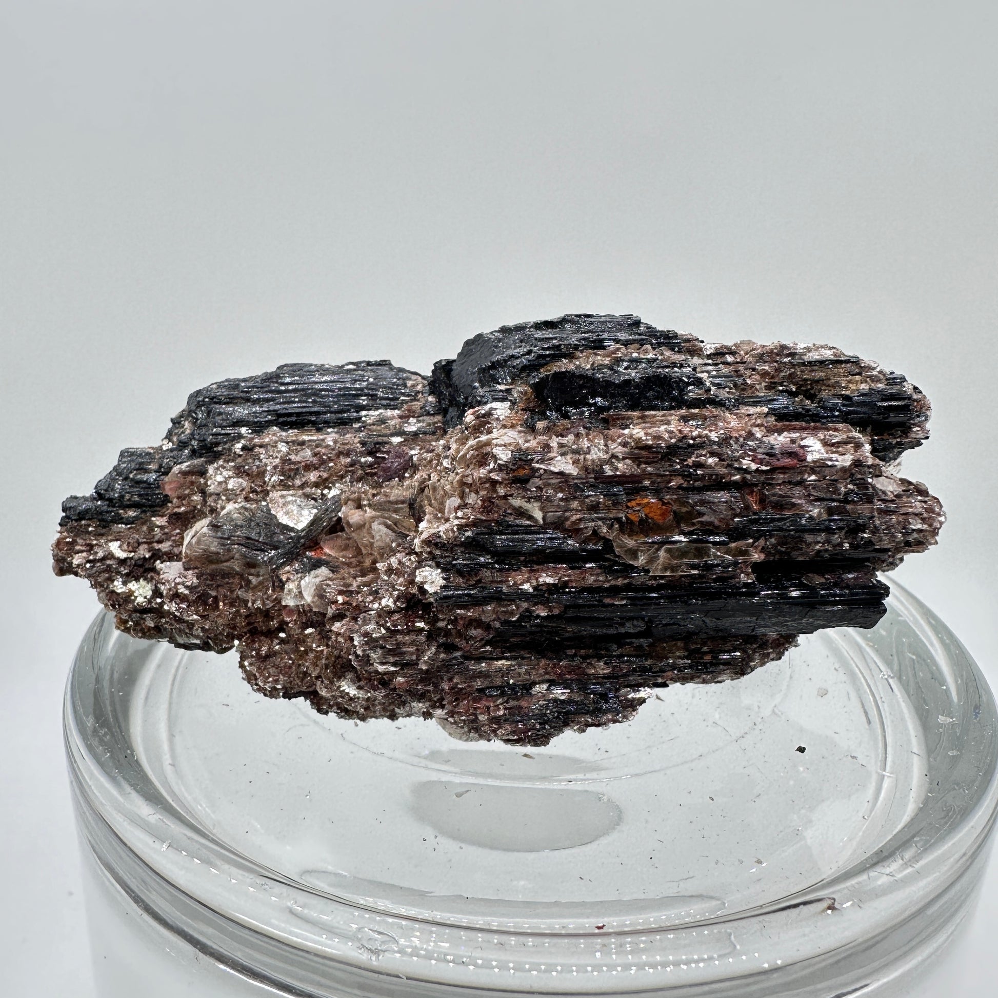 Black Tourmaline and Golden Mica Specimen - Katie's Mystic Crystals