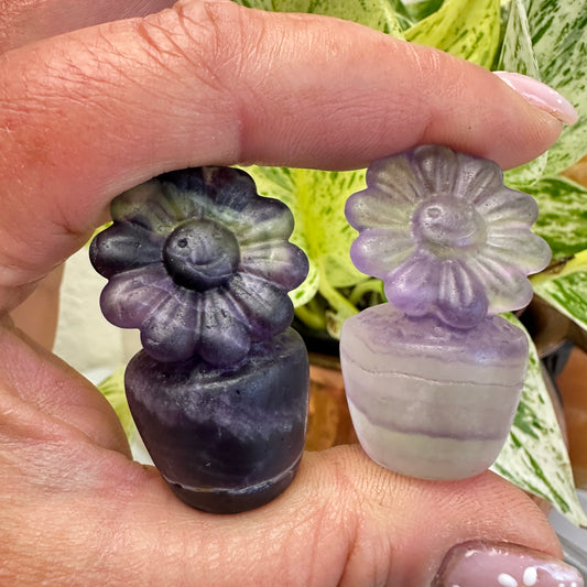 Fluorite and Calcite Crystal Flower Pots - 1.5 inch