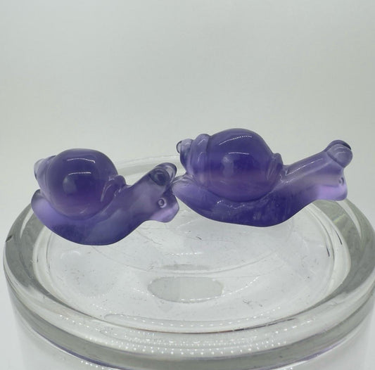 Fluorite Snail