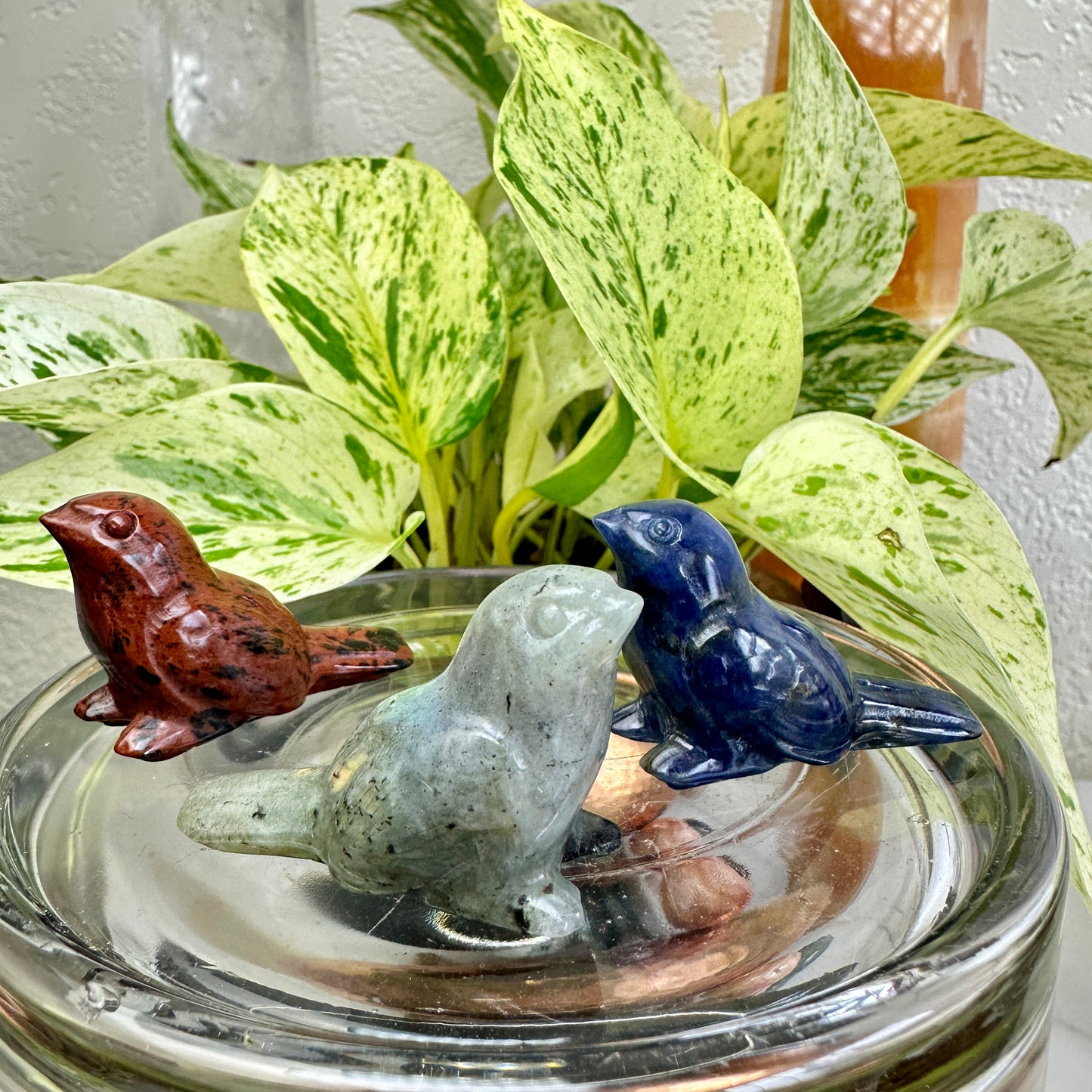Crystal Sparrow