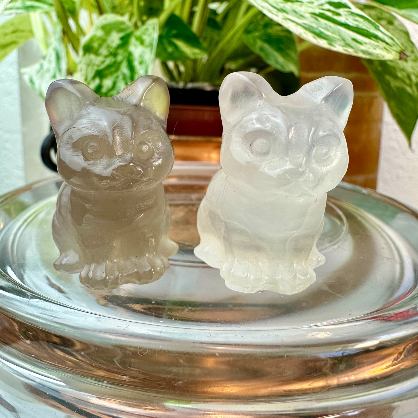 Mini Crystal Cats — 0.25 to 2 inches Whimsy | Protection | Energy Companions