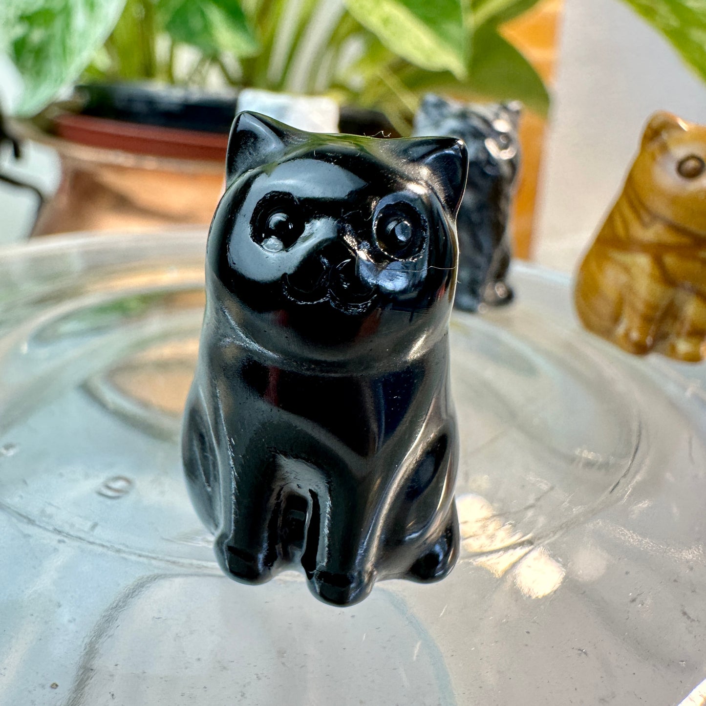 ✨ Mini Crystal Fluffy Cats — Carved in Yellow Jasper, Obsidian, Howlite, Red Vein Jasper, Spiderweb Jasper & Aura Rose Quartz ✨
Adorable Companions • Pocket-Sized Joy • Energy-Infused Decor