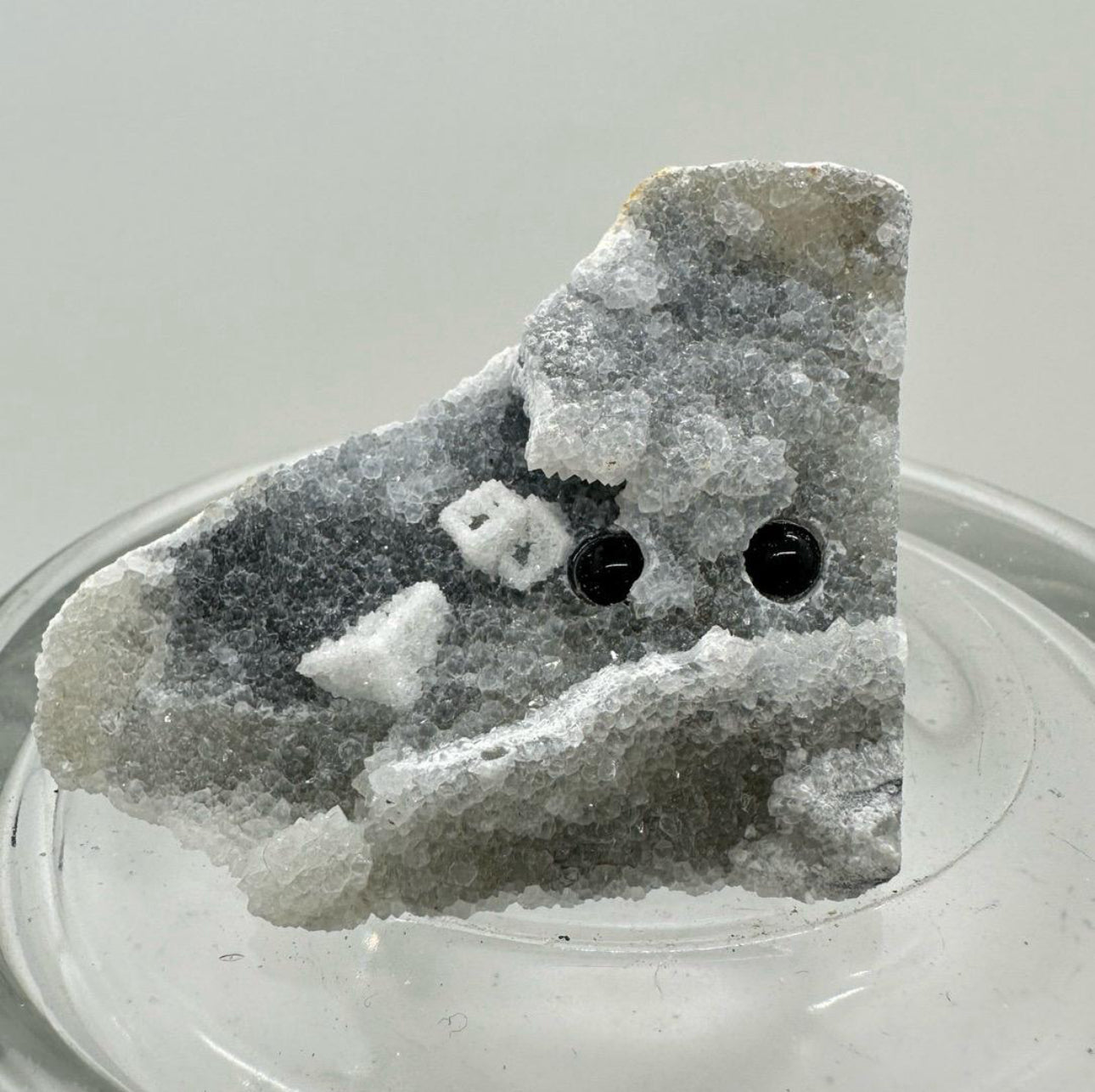 Crystal Critters - Specimen