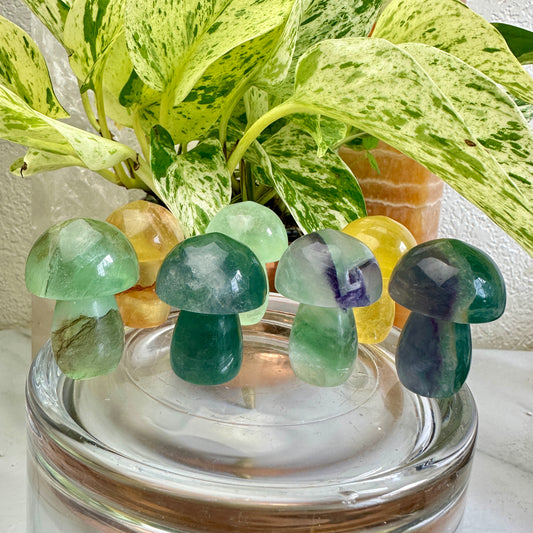 Fluorite Mushrooms