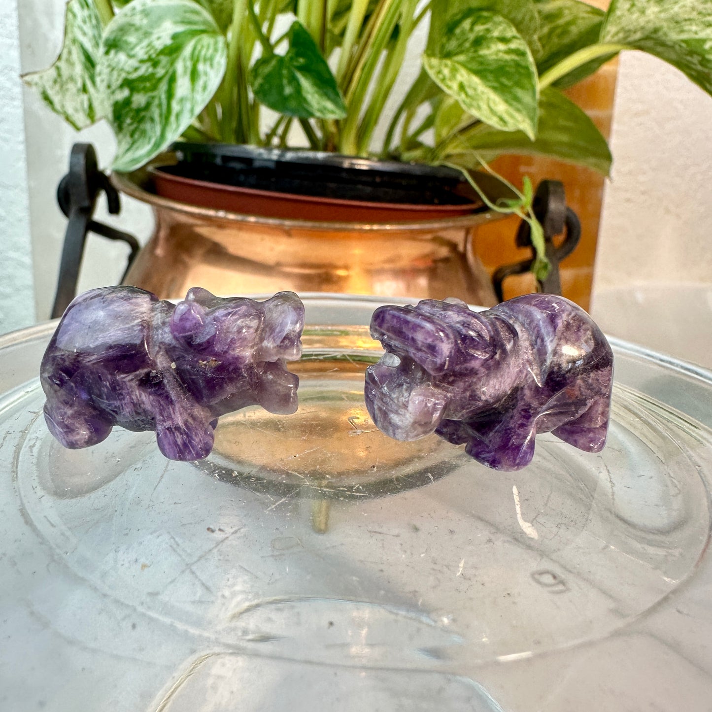 Micro Mini Crystal Hippos — Under 1 Inch
Gentle Strength • Emotional Balance • Playful Spirit