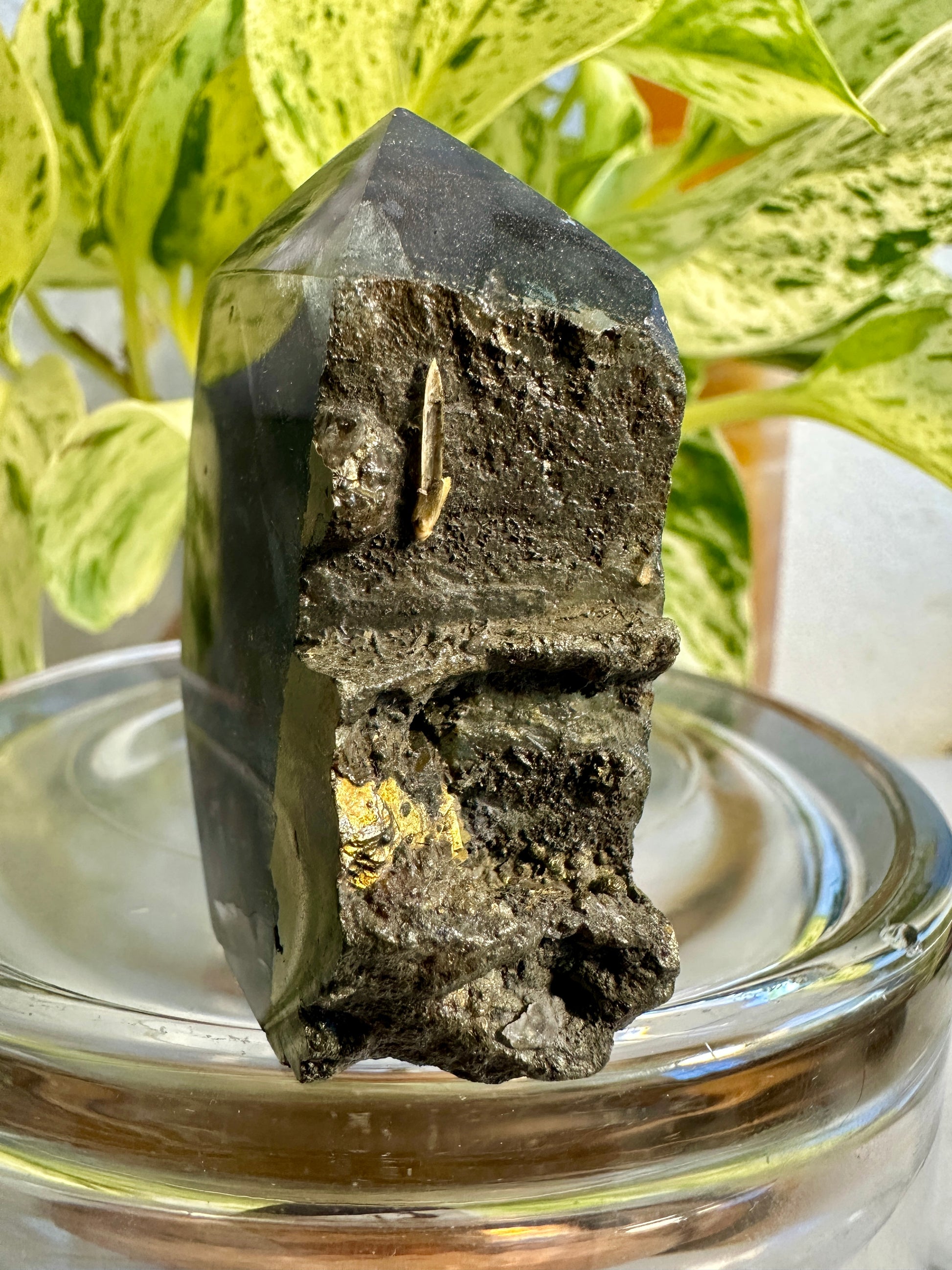 Pyrite in Fluorite Raw Edge Tower — G
2.2 in tall × 1.5 in wide × 0.8 in thick | 3.4 oz
Clarity | Prosperity | Energetic Shielding - Katie's Mystic Crystals