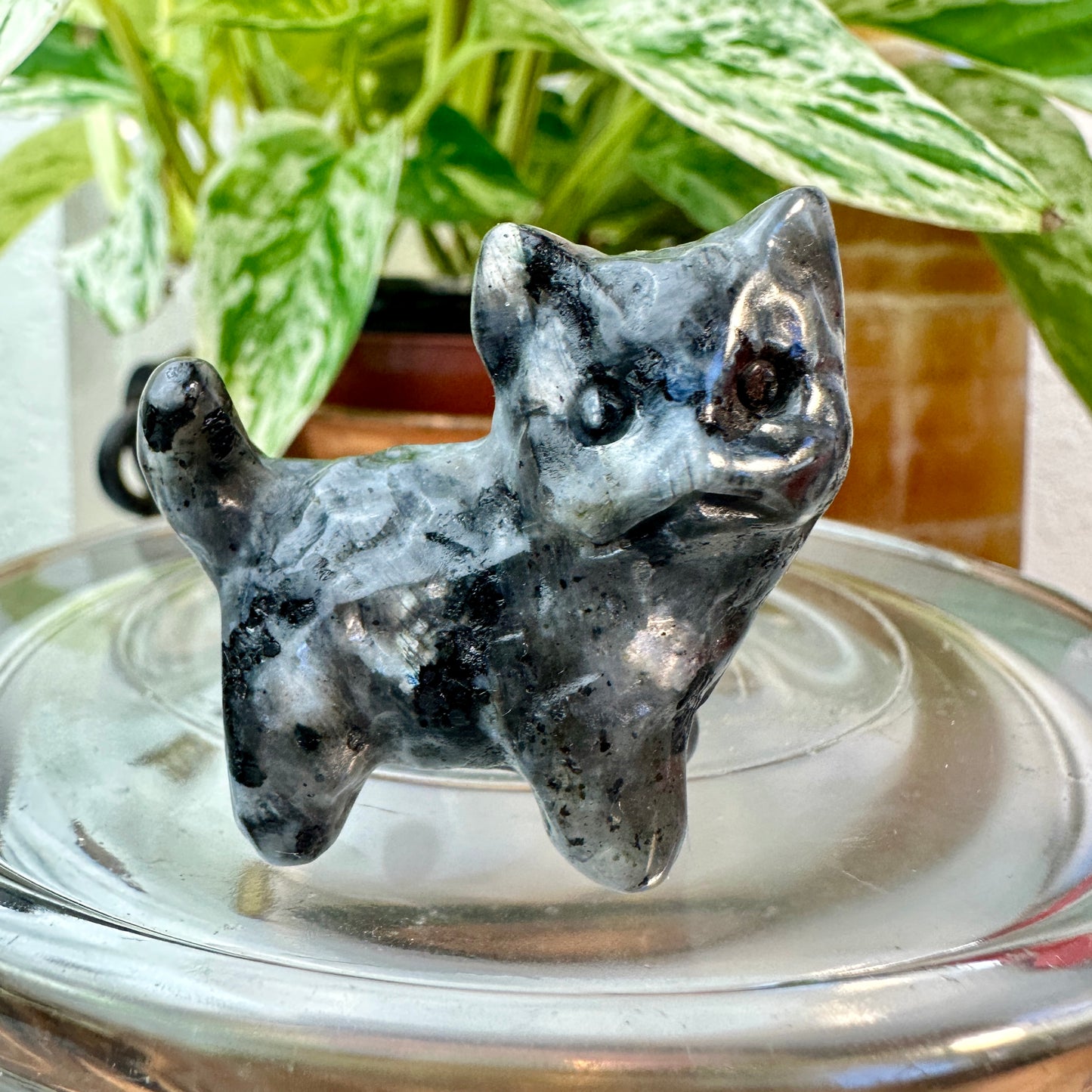 Mini Crystal Cats — 0.25 to 2 inches Whimsy | Protection | Energy Companions