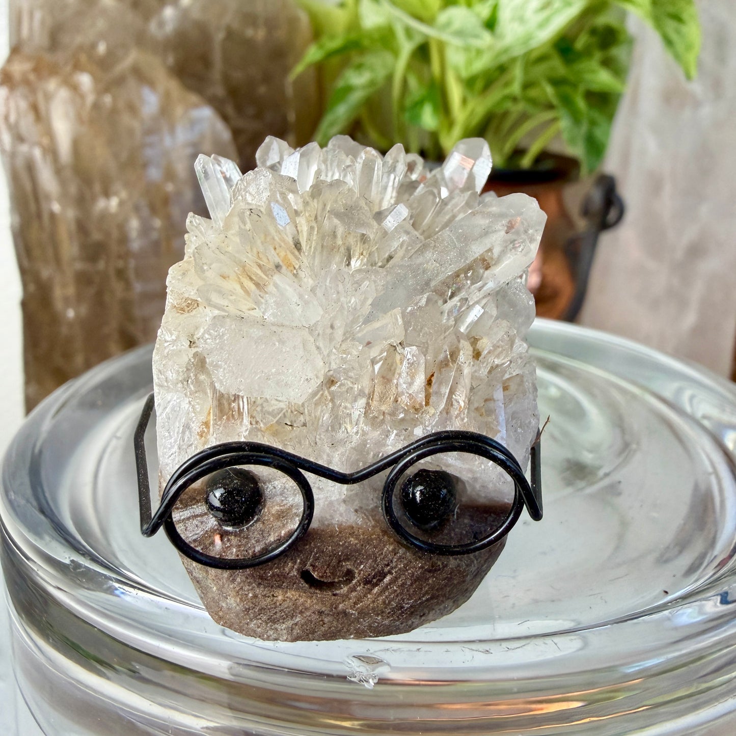 Crystal Critters - Harry
