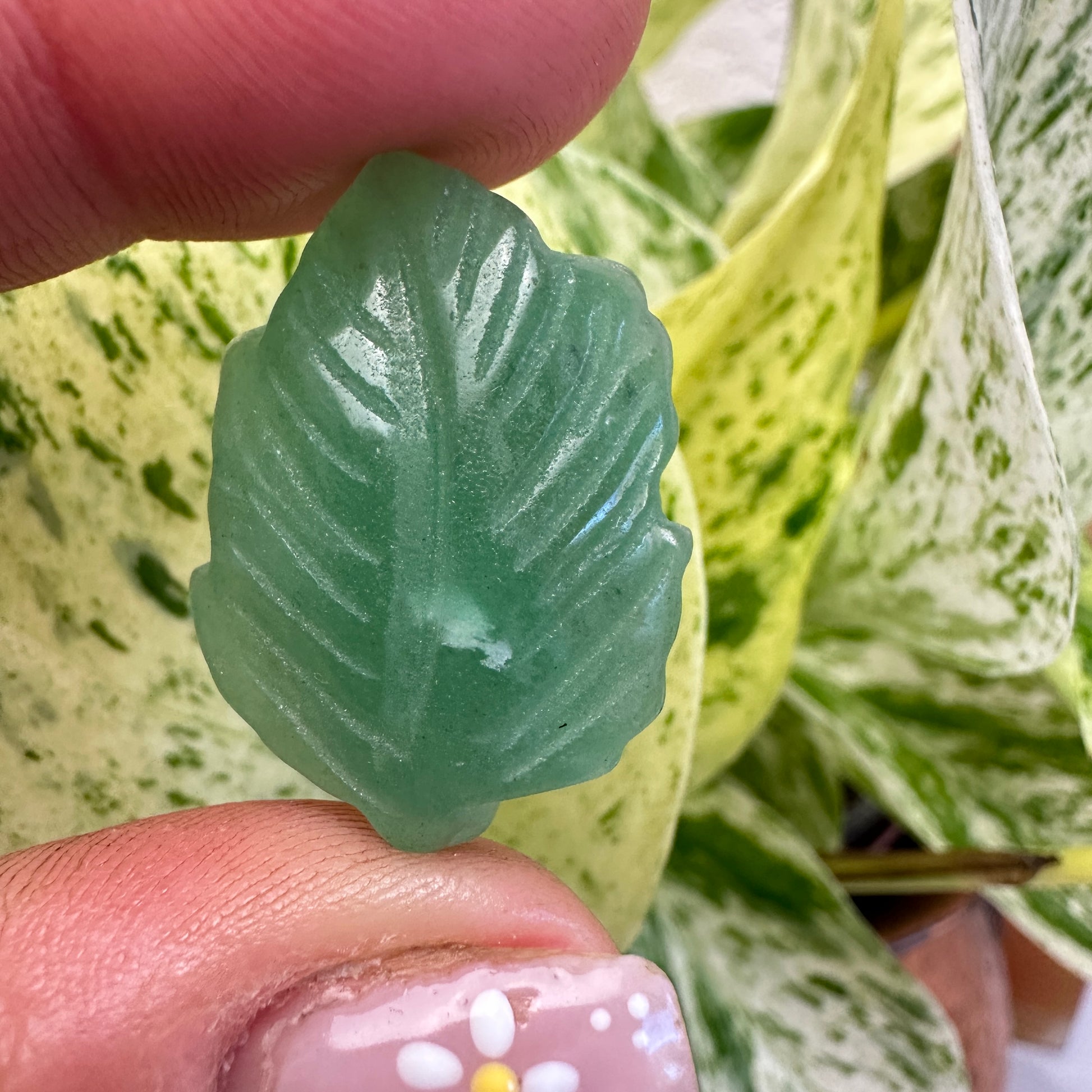 Mini Leaf Carvings - 1 Inch - Katie's Mystic Crystals