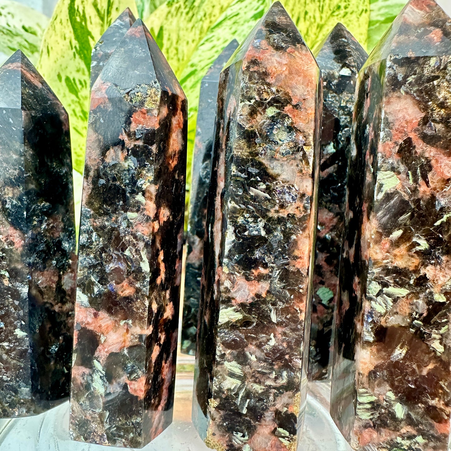 Quartz Tourmaline and Mica Points — 3.4 to 4 inch
Protection | Grounding | Energy Amplification
✨ Intuitive Pick ✨