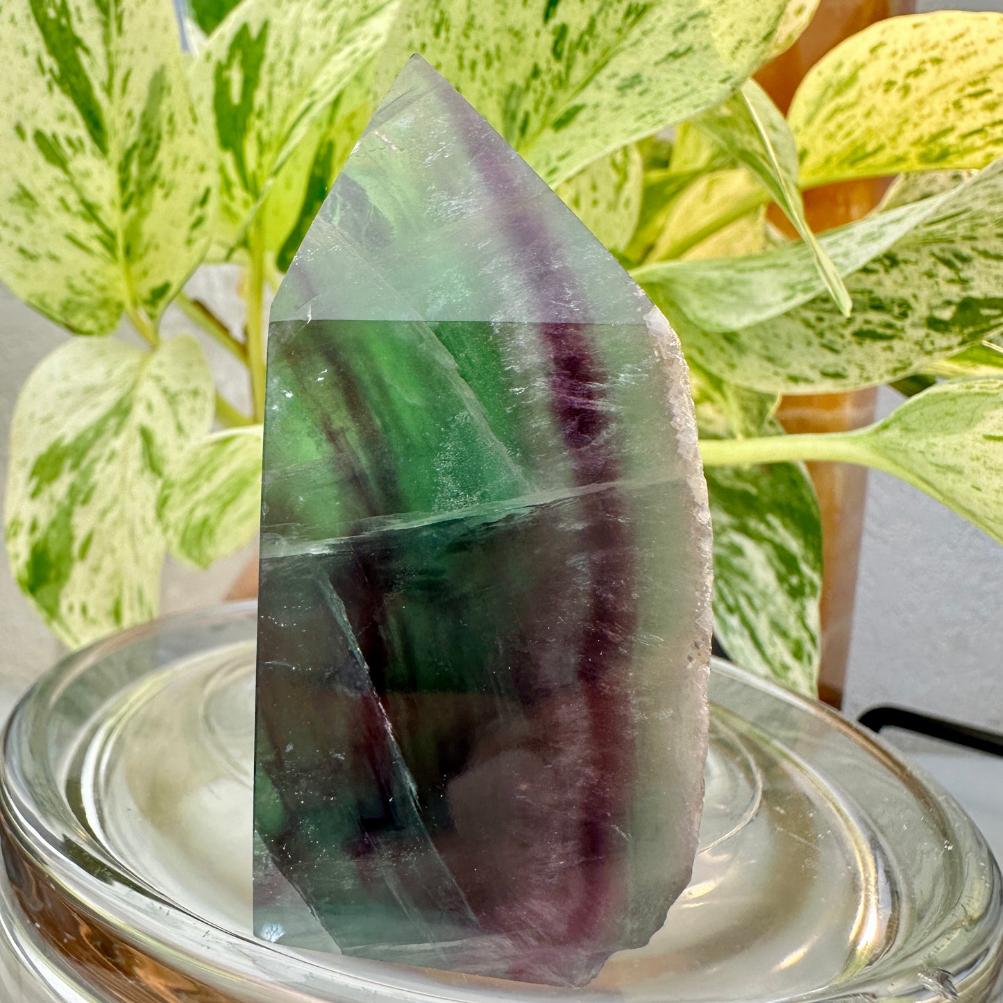 Rainbow Fluorite Raw Edge Tower — 3 inch | 6.8 oz
Focus | Clarity | Aura Cleansing