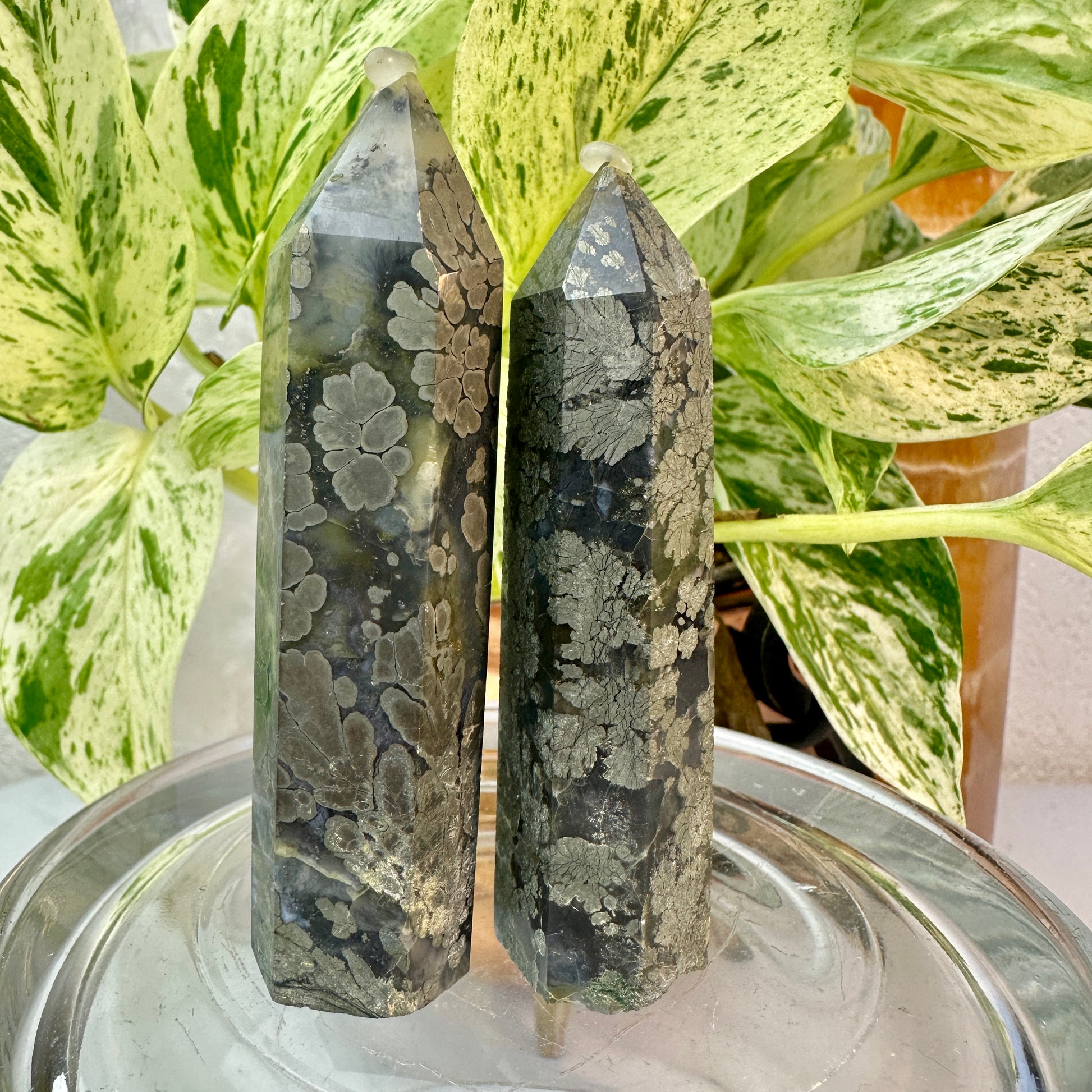 Marcasite Flower Agate Points — 3.1–3.4 inch - Katie's Mystic Crystals