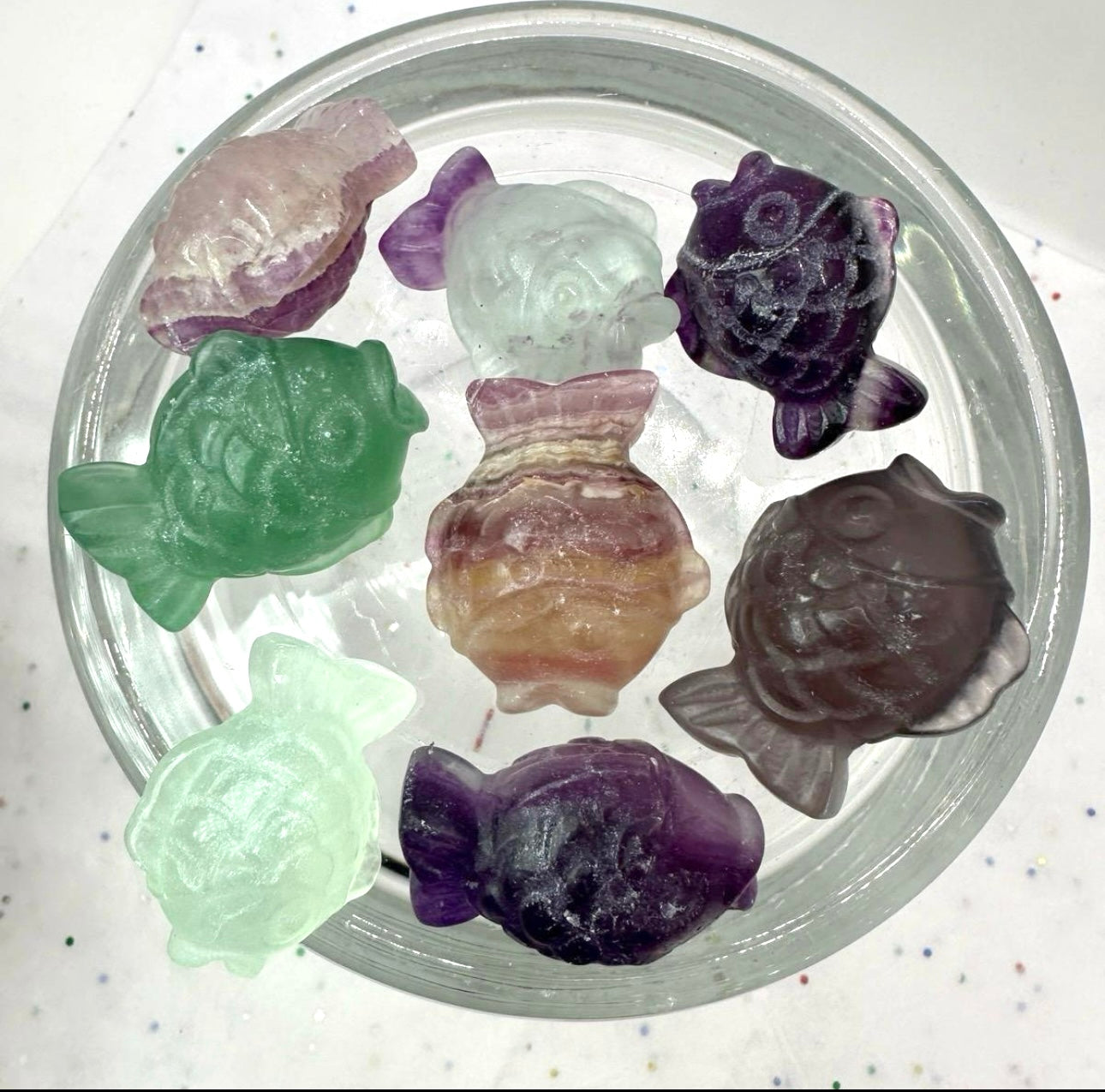 Fluorite Fish