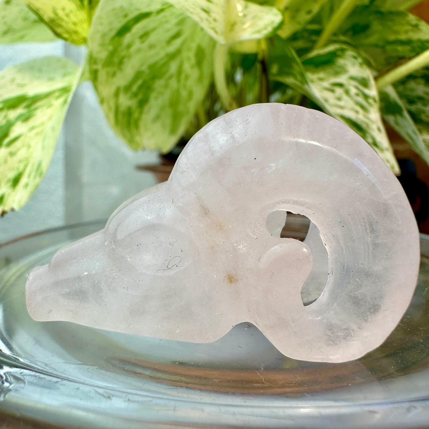 Crystal Ram Skulls — 2 inch
Zodiac Aligned | Power | Protection | Purpose