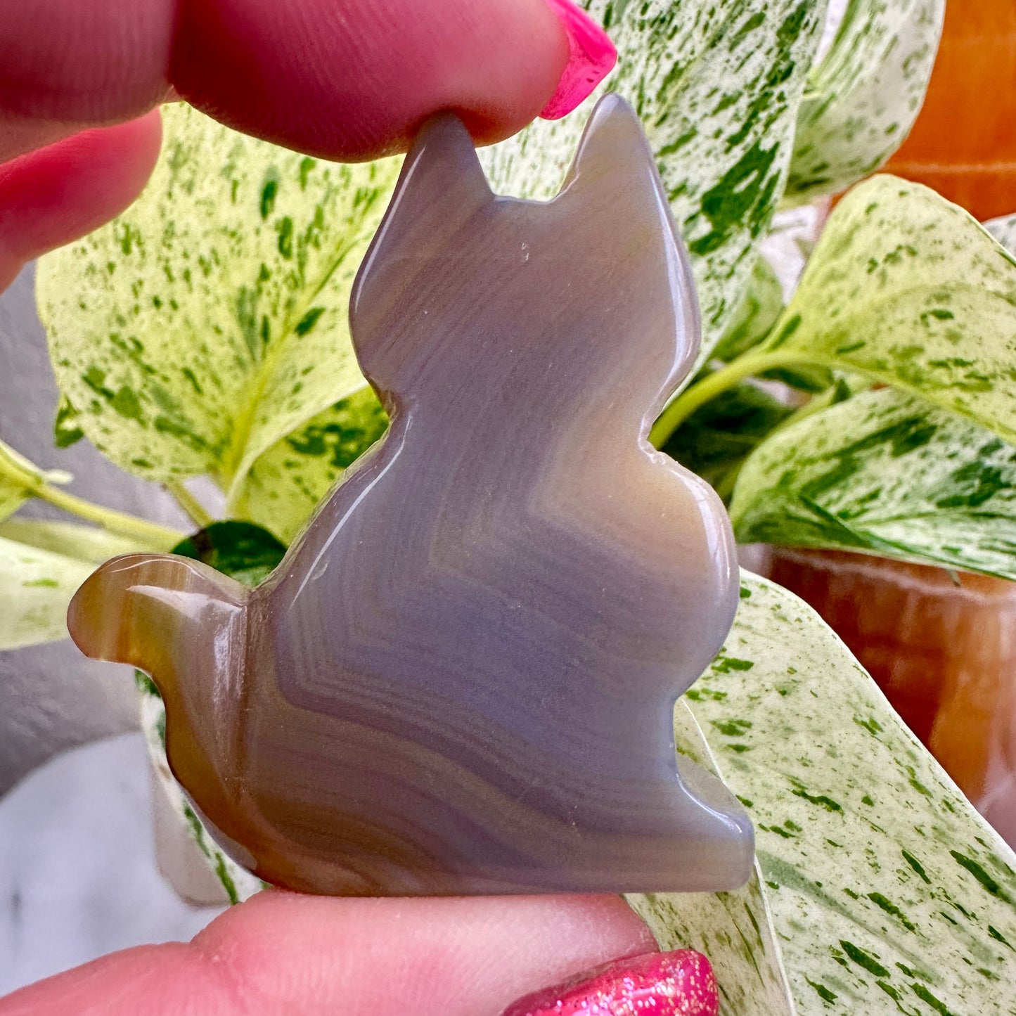 Agate Slab Cat
