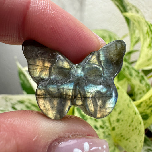 Labradorite Carvings - Katie's Mystic Crystals
