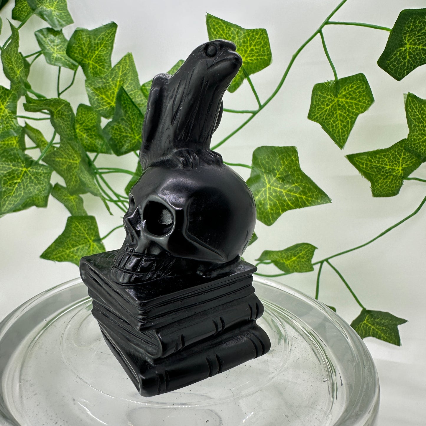 Raven Skull Book Carving - Katie's Mystic Crystals