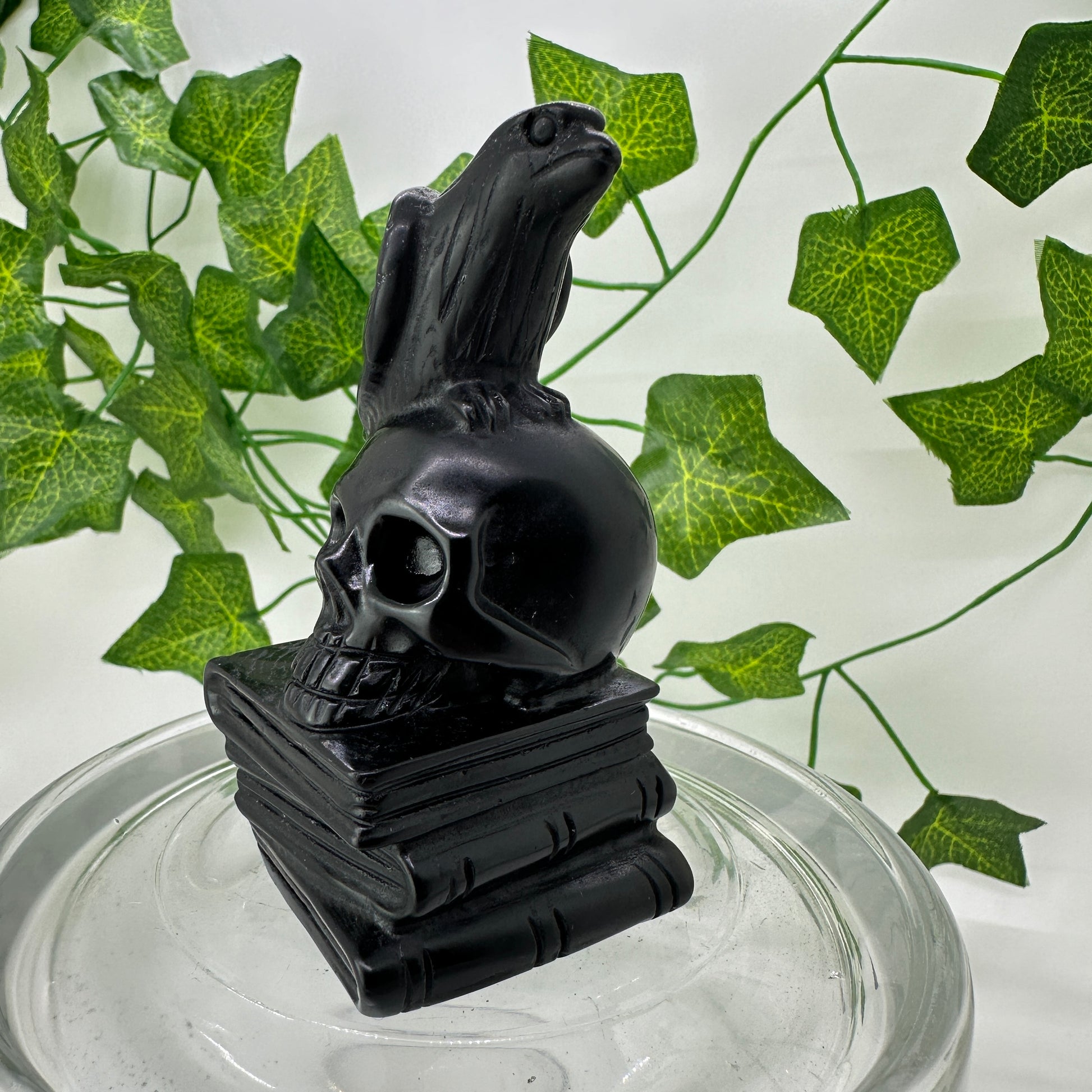 Raven Skull Book Carving - Katie's Mystic Crystals