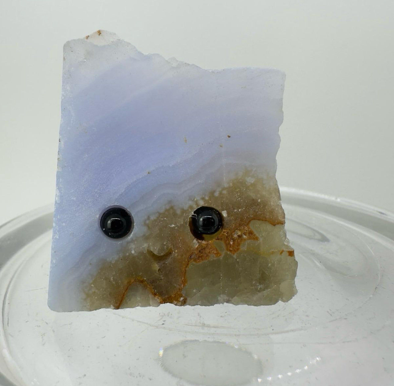 Crystal Critters - Specimen