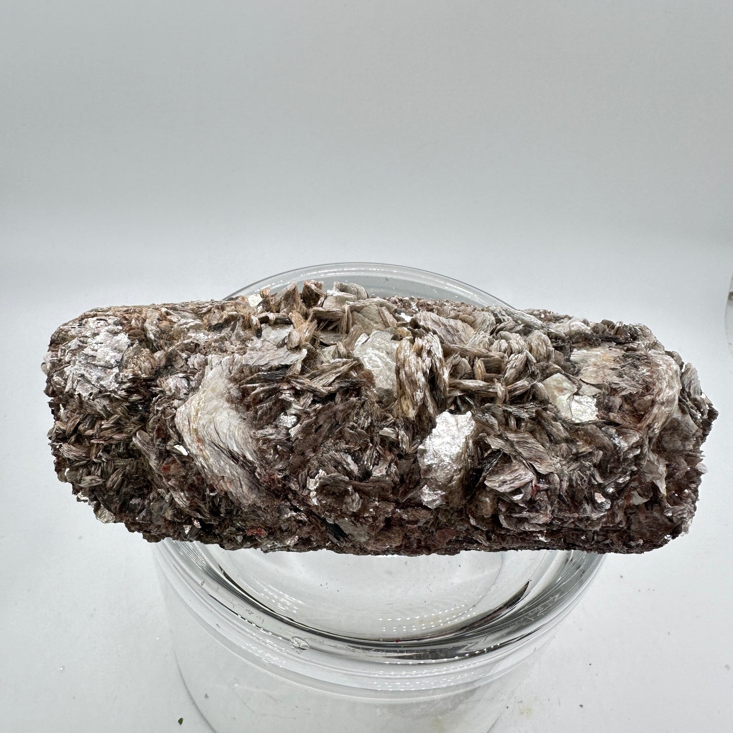 Black Tourmaline and Golden Mica Specimen - Katie's Mystic Crystals