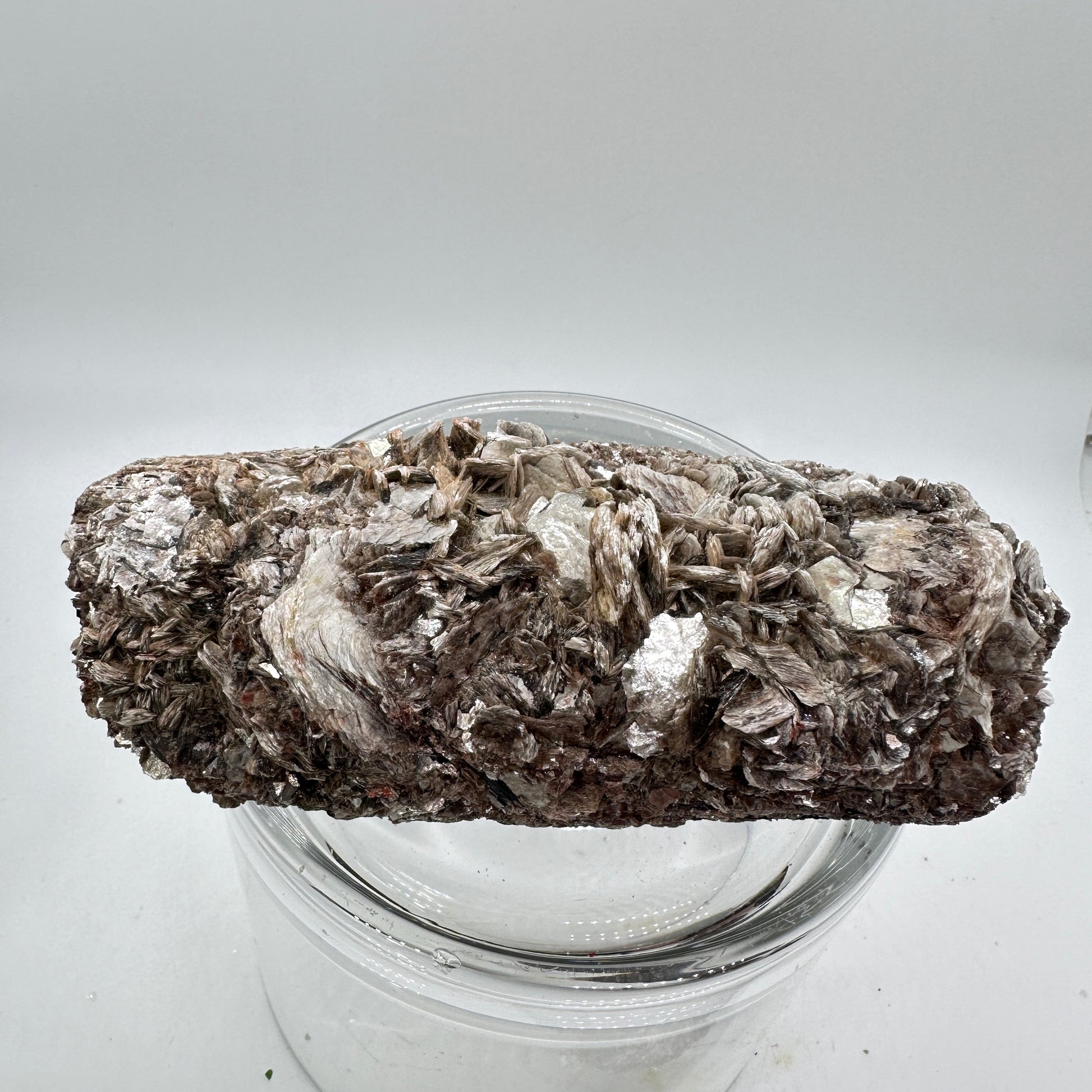 Black Tourmaline and Golden Mica Specimen - Katie's Mystic Crystals