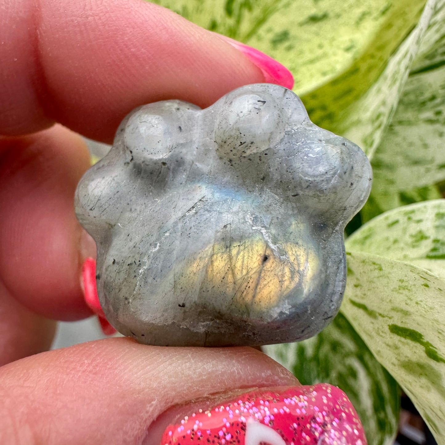 Crystal Pet Paw