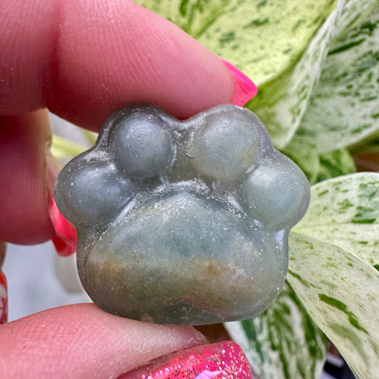 Crystal Pet Paw