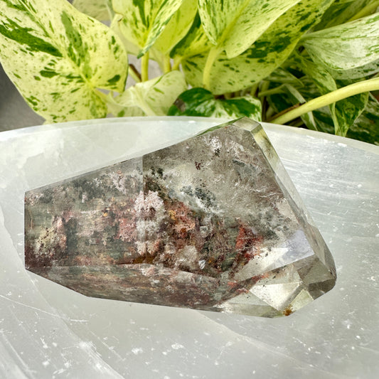 Garden Quartz Freeform — 2.8 inches
Past-Life Recall | Earth Wisdom | Visionary Growth