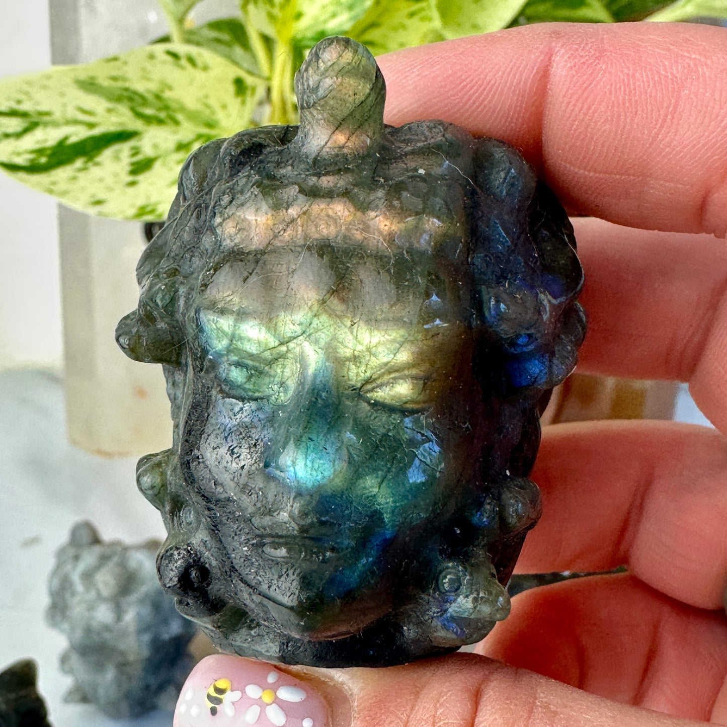 Labradorite Medusa