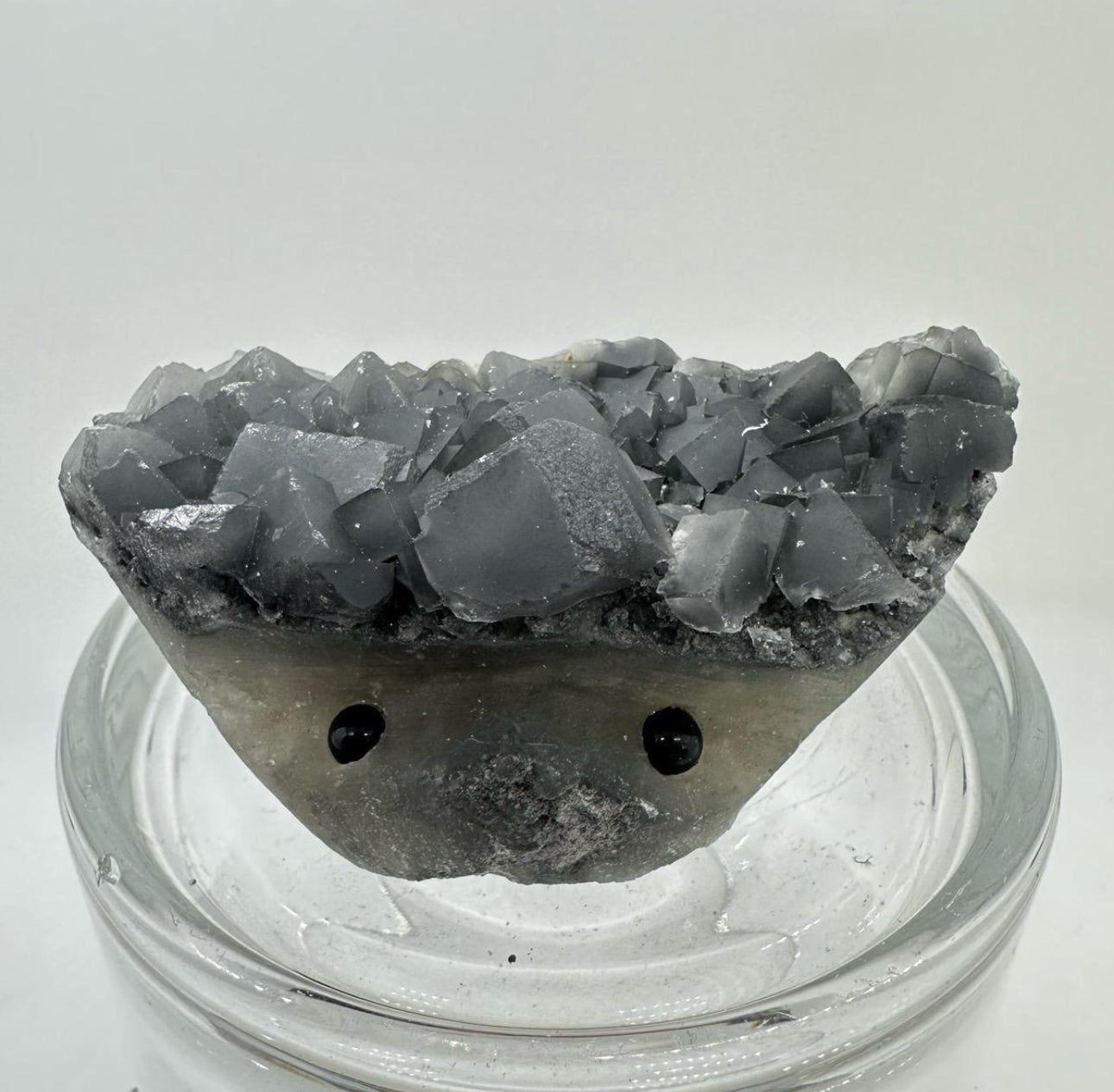 Crystal Critters - Specimen