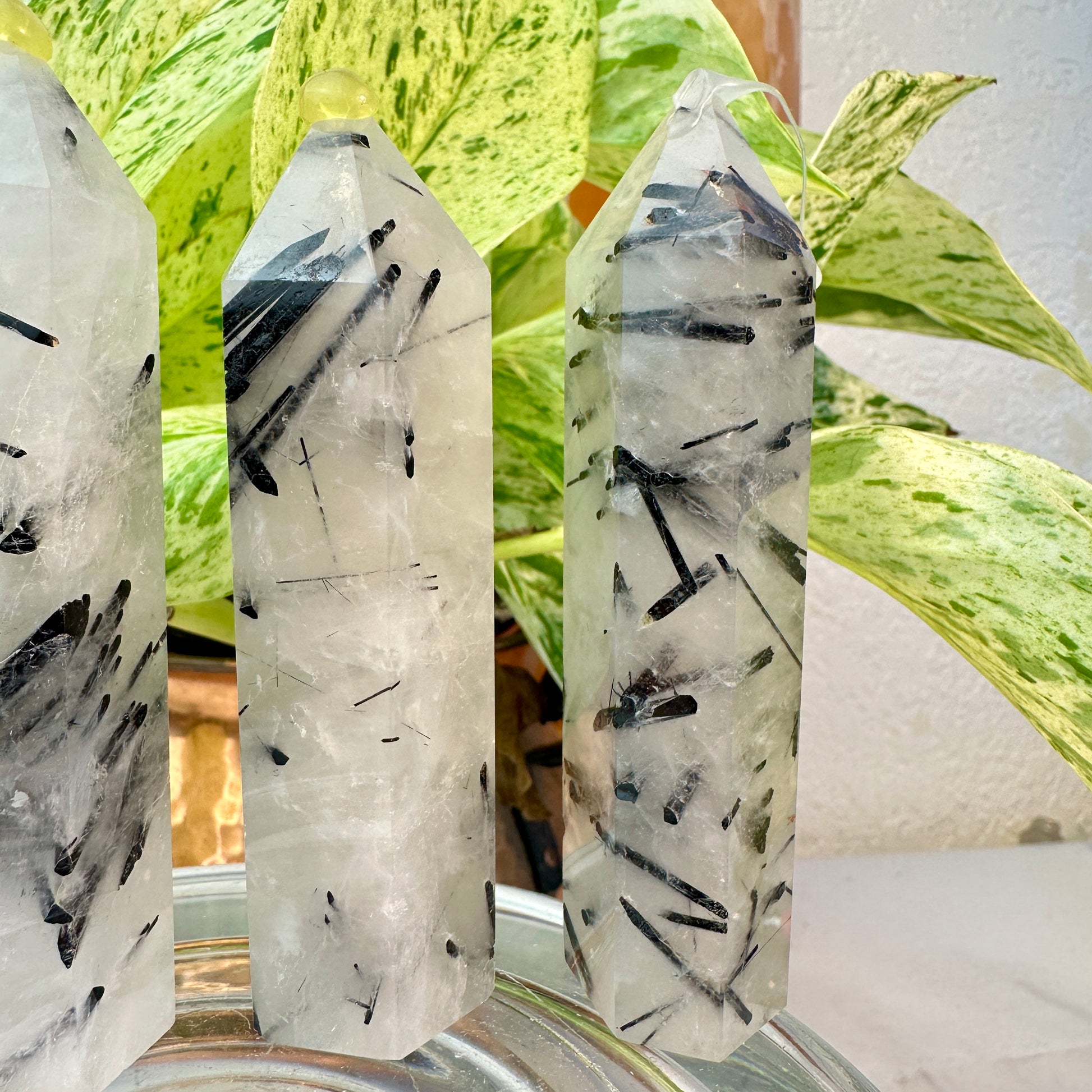 Black Tourmaline in Quartz Points — 3 inch
Protection | Clarity | Energy Alignment - Katie's Mystic Crystals