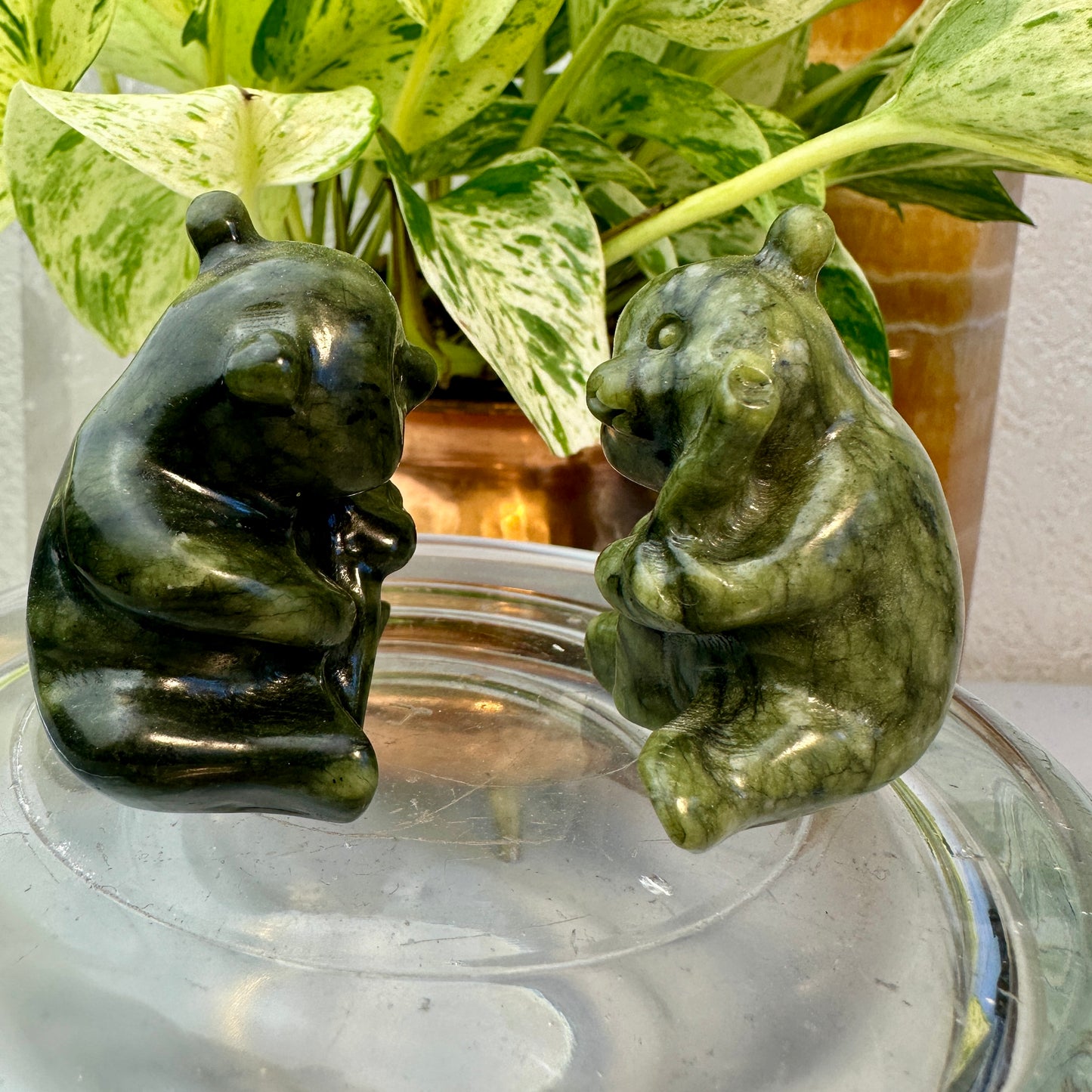 Serpentine Panda — 2 inch
Healing | Protection | Earth Wisdom