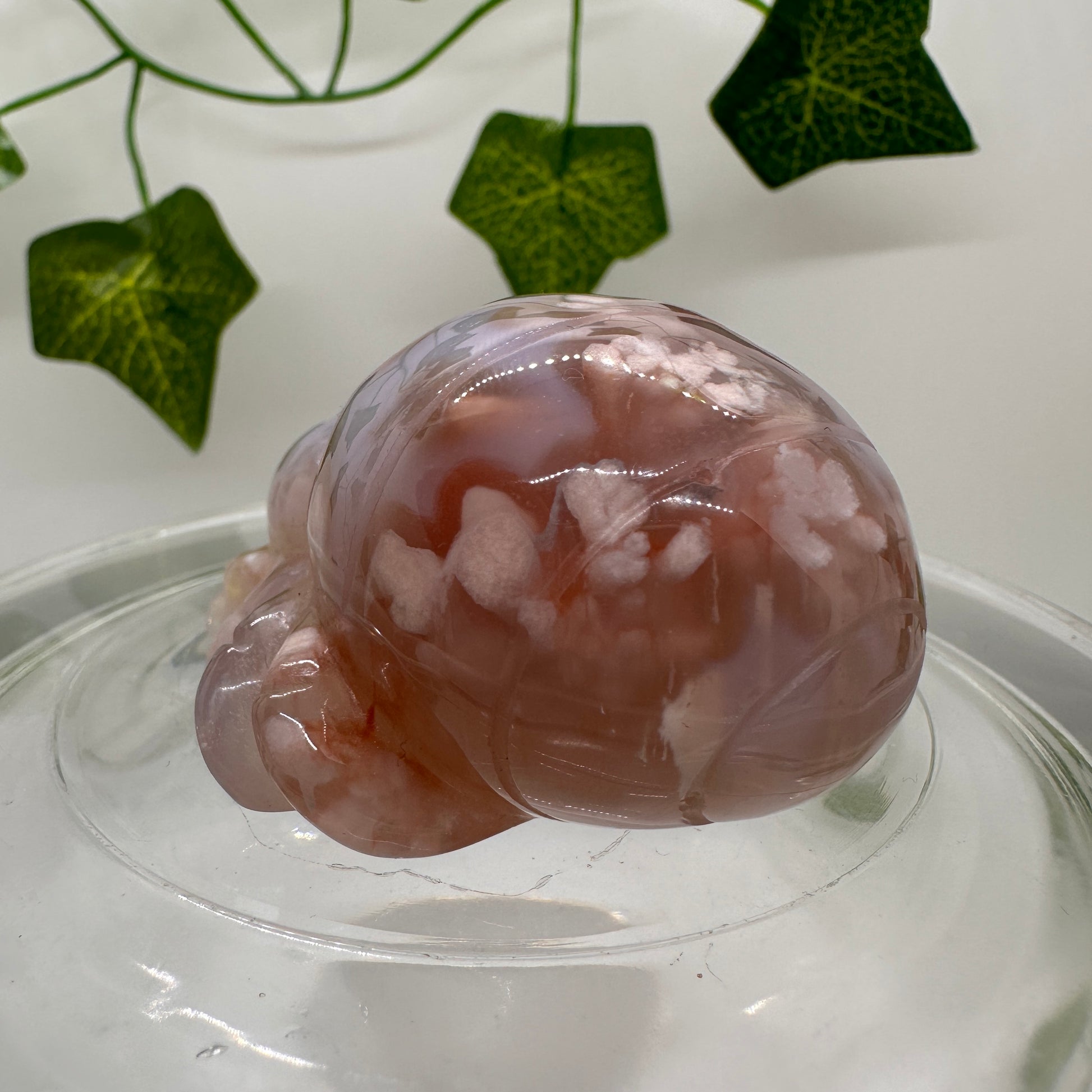Flower Agate Spider - Katie's Mystic Crystals