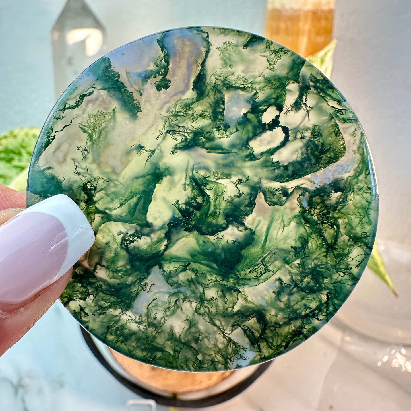Moss Agate Window Disks — 2 Inch
Nature’s Portal • Grounding • Inner Vision