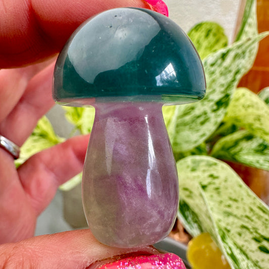 Fluorite Mushrooms