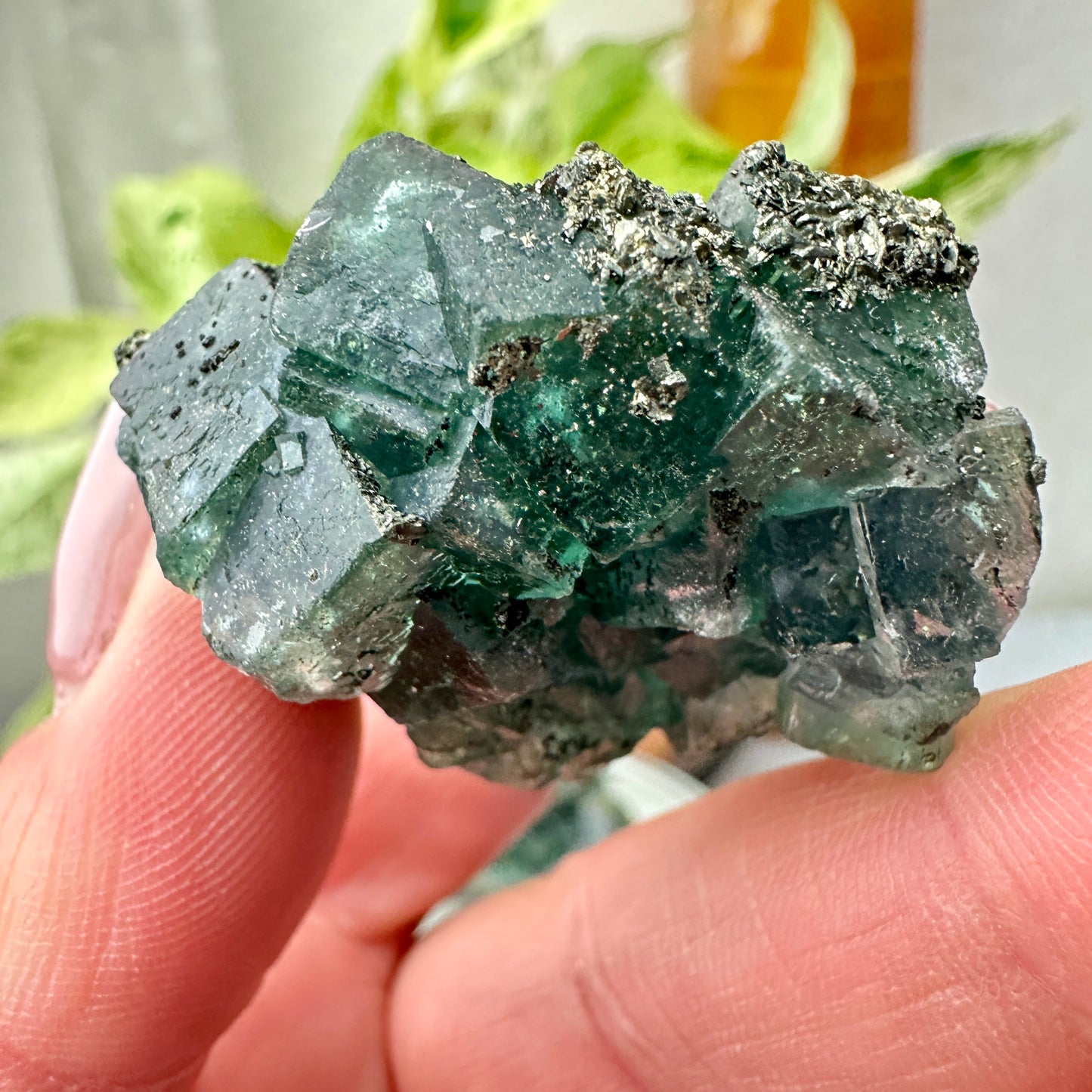 Cubic Blue-Green Fluorite with Natural Pyrite Specimens — Energetic Alchemy in Crystal Form