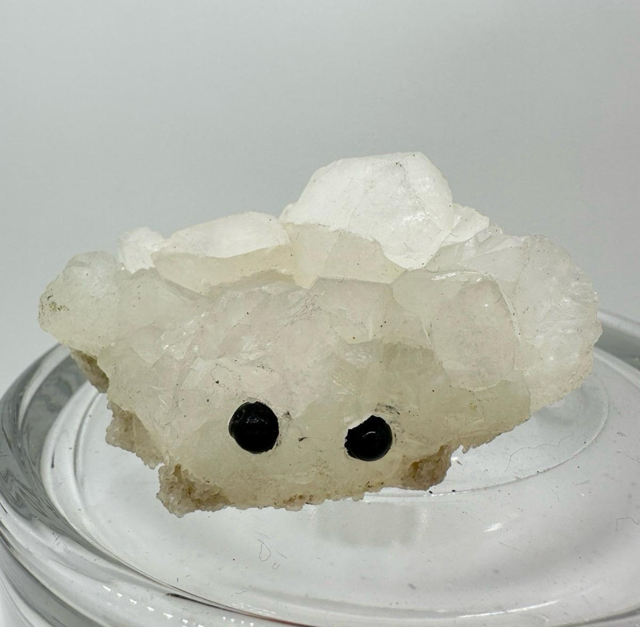 Crystal Critters - Specimen