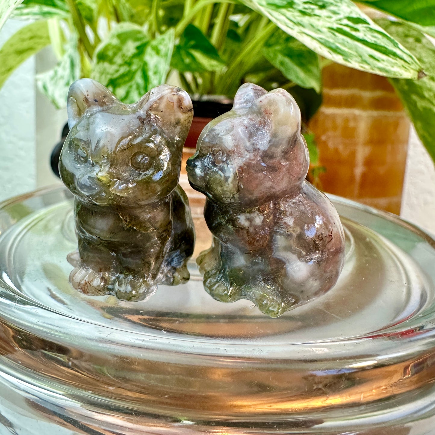 Mini Crystal Cats — 0.25 to 2 inches Whimsy | Protection | Energy Companions