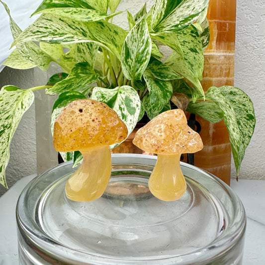 Golden Agate Mushroom Duo — Earth Energy for Cottagecore Souls 🍄