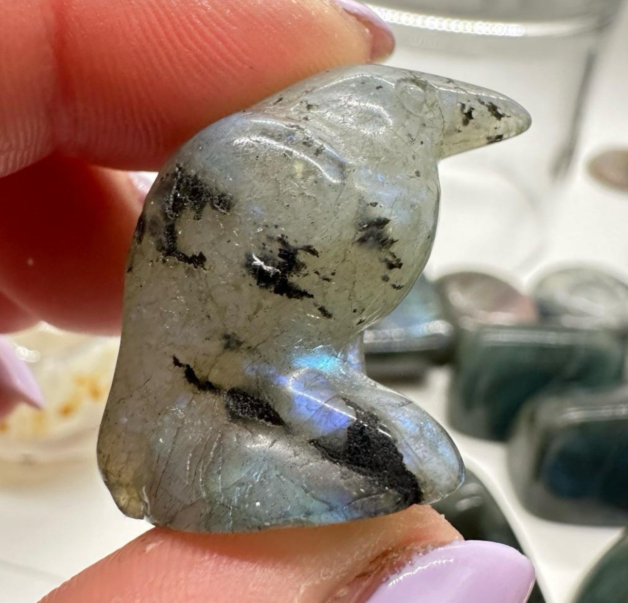 Crystal Baby Ravens - Katie's Mystic Crystals