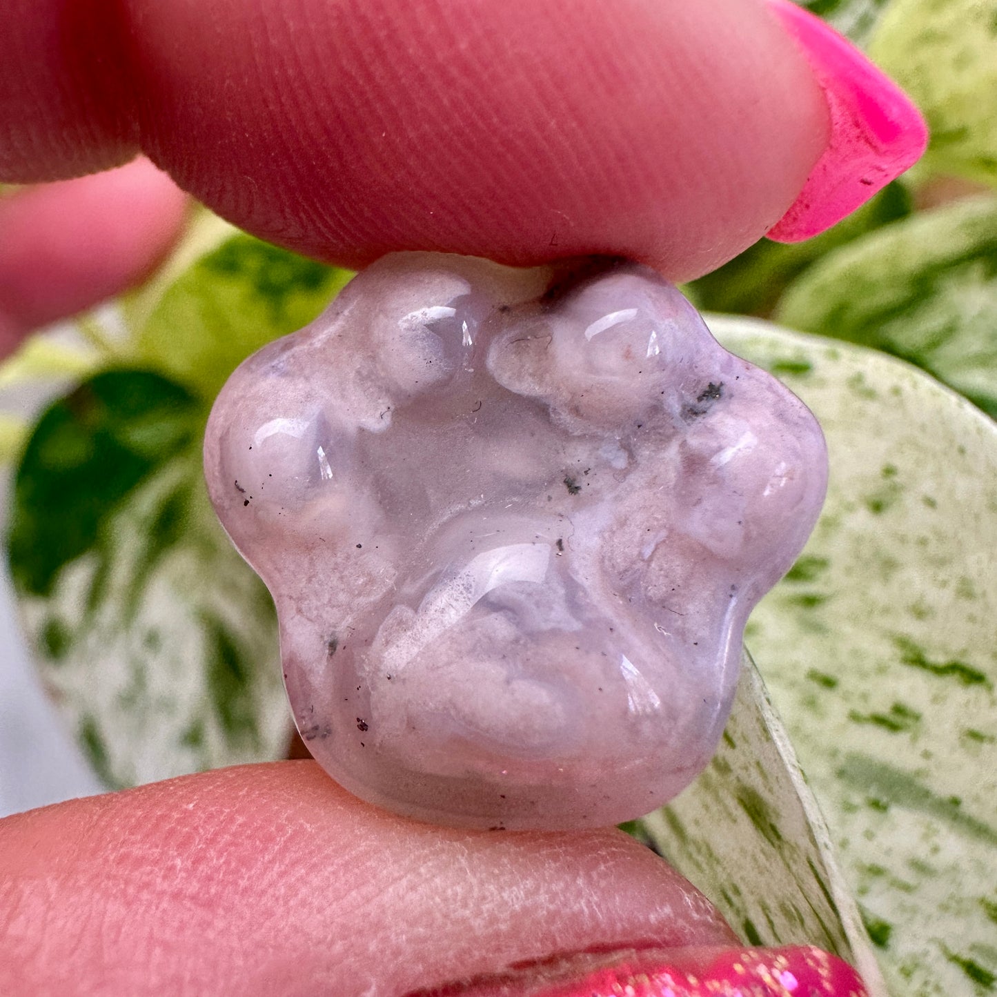 Mini Flower Agate Pet Paw