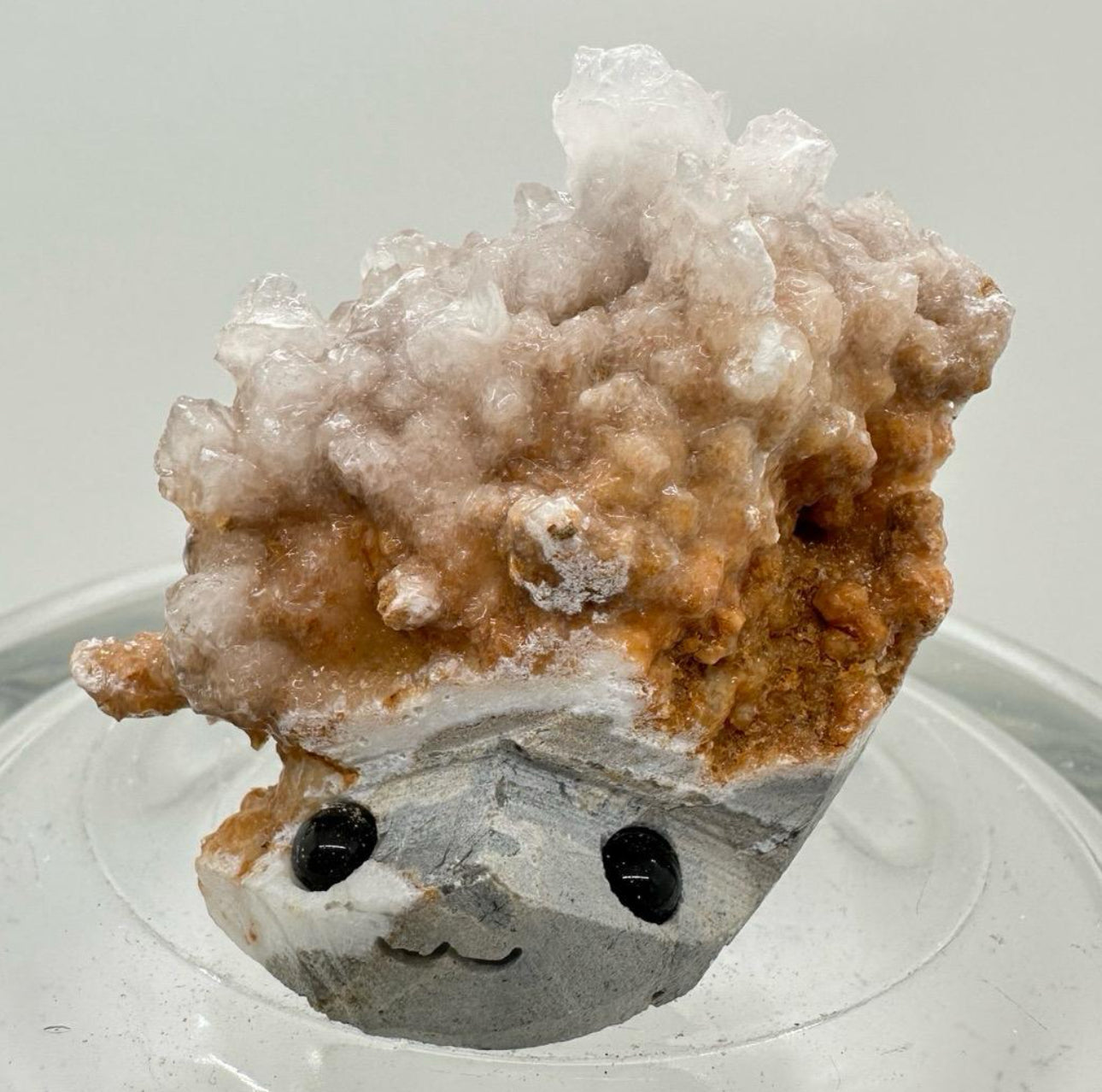 Crystal Critters - Specimen