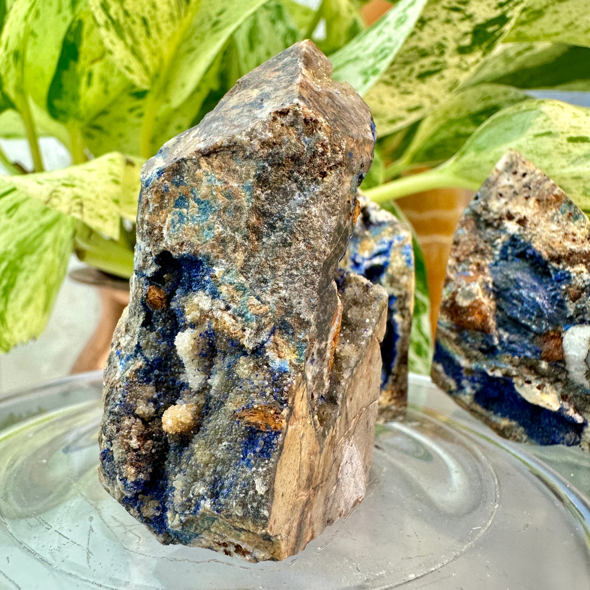 Raw Azurite in Matrix Points — You Pick
Psychic Insight | Intuition | Higher Wisdom - Katie's Mystic Crystals