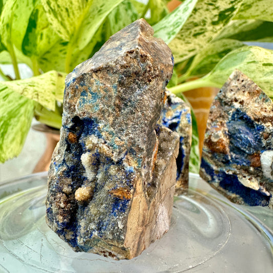 Raw Azurite in Matrix Points — You Pick
Psychic Insight | Intuition | Higher Wisdom - Katie's Mystic Crystals